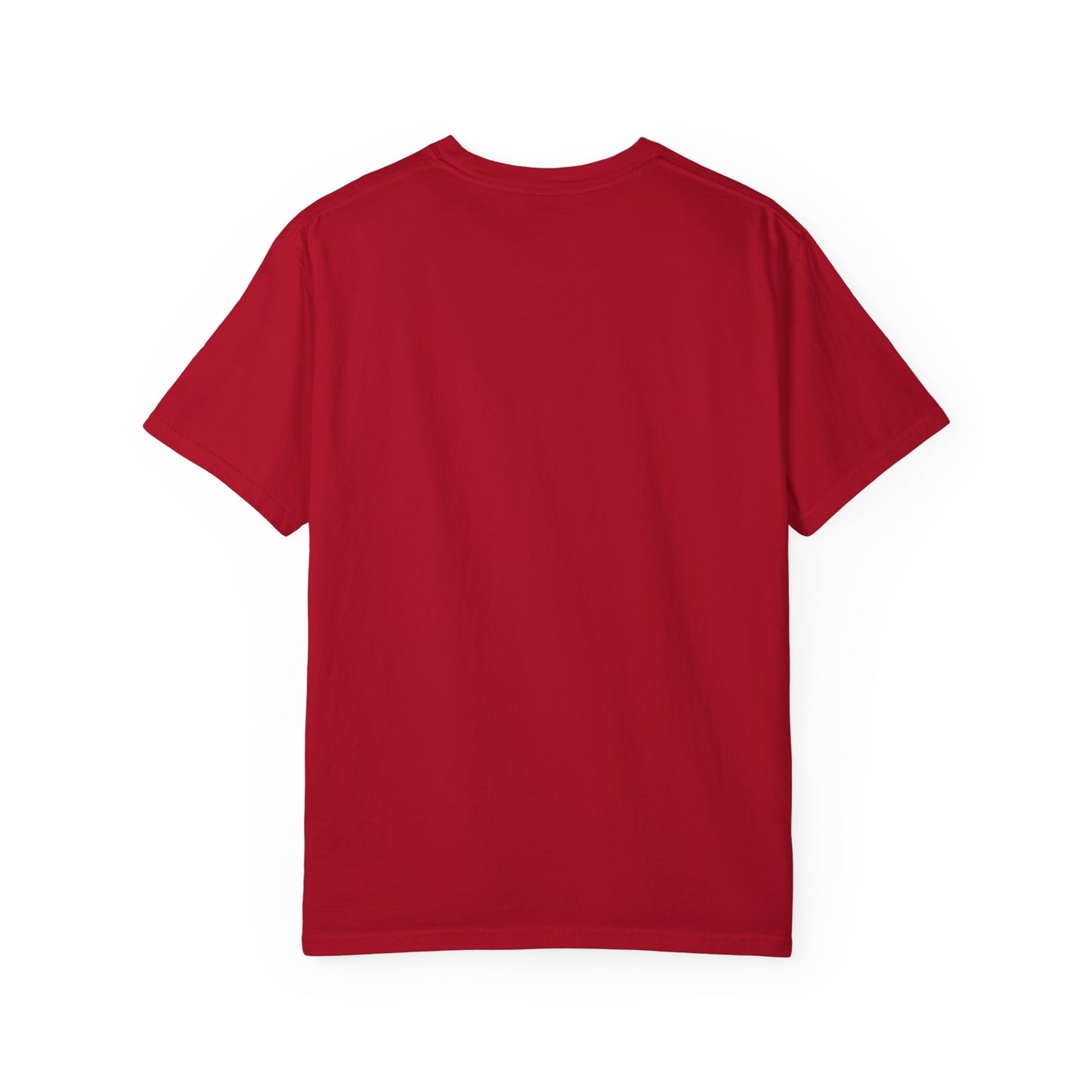 Arise Dark Solo Levels T-shirt Sung Igris Jinwoos Levelling Anime shirt merch fans for men women subtle minimal