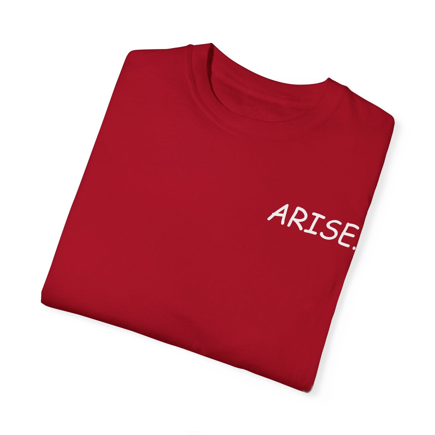 Arise. Solo Levels T-shirt Sung Igris Jinwoos Levelling Anime shirt for men women subtle minimal side