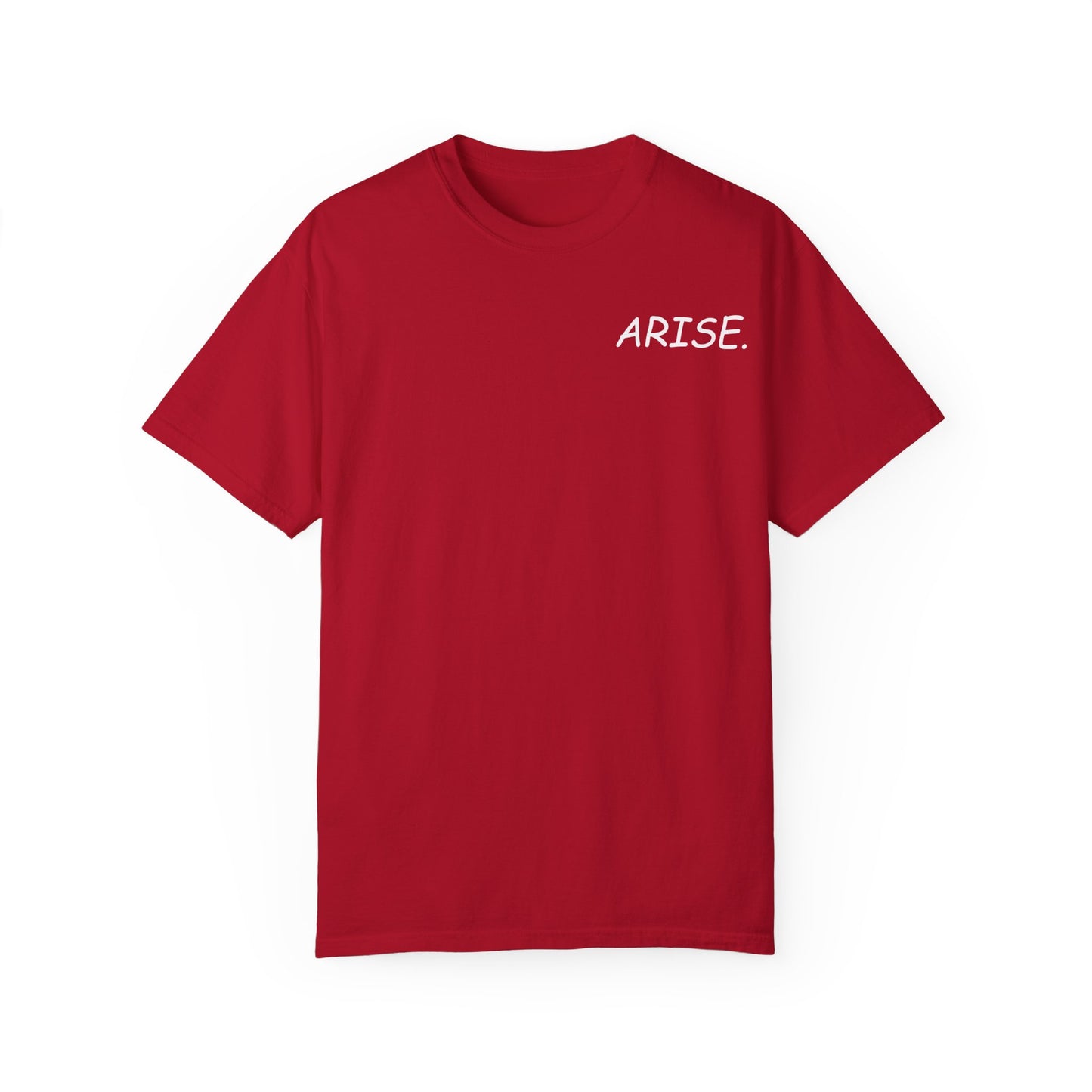 Arise. Solo Levels T-shirt Sung Igris Jinwoos Levelling Anime shirt for men women subtle minimal side