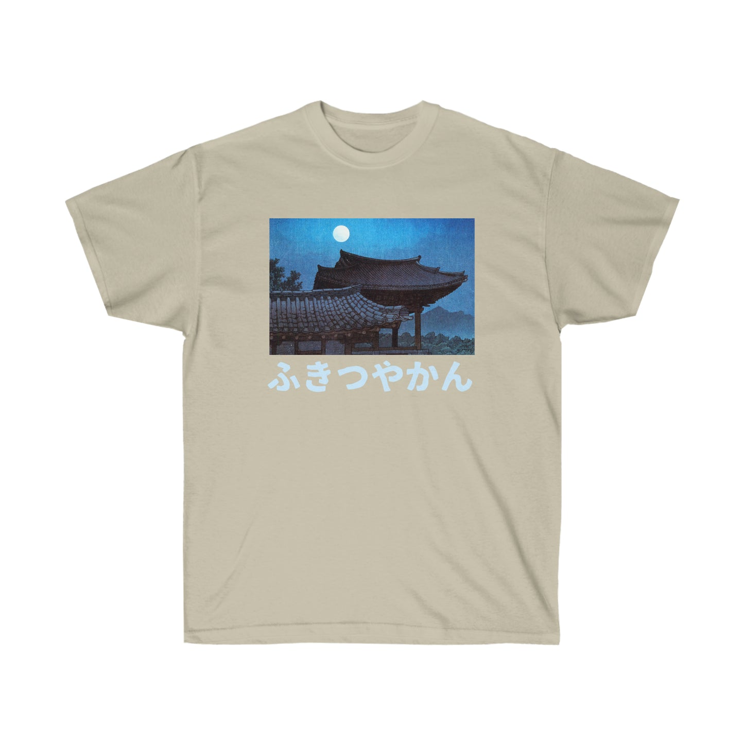 Japan Night Streetwear Vintage T-shirt Gift For Edo period
