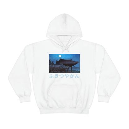 Japan night hoodie 90s anime Tokyo Studio Aesthetic